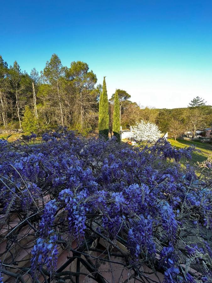 Natur & Jasmin Chambres D'Hotes Naturistes En Provence ลอร์เกส ภายนอก รูปภาพ
