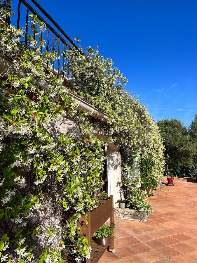 Natur & Jasmin Chambres D'Hotes Naturistes En Provence ลอร์เกส ภายนอก รูปภาพ